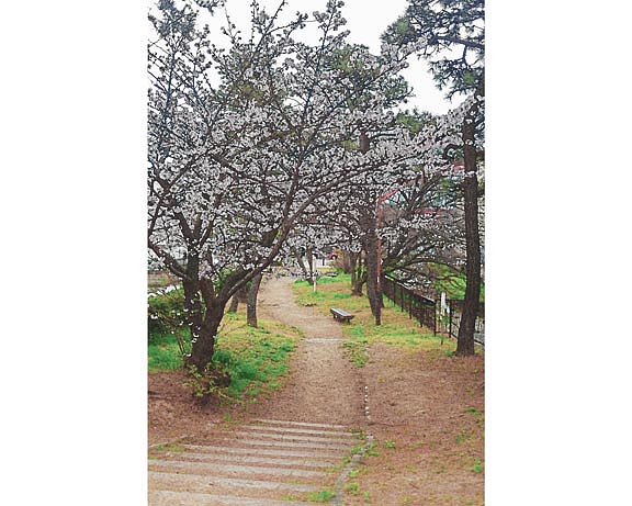 芦屋プラン株式会社 宇治市植物公園